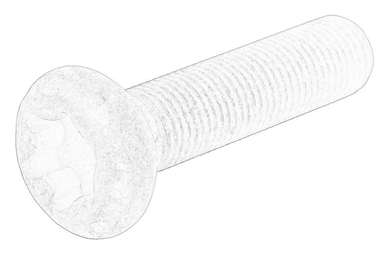 Surubul capacului butucului rotii (M12x1,25) original