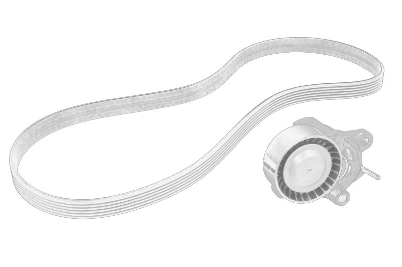 Set cu curea multi-v cu intinzator original