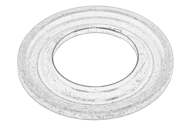Inel din ABS spate dreapta/stanga (pentru frana cu disc) original