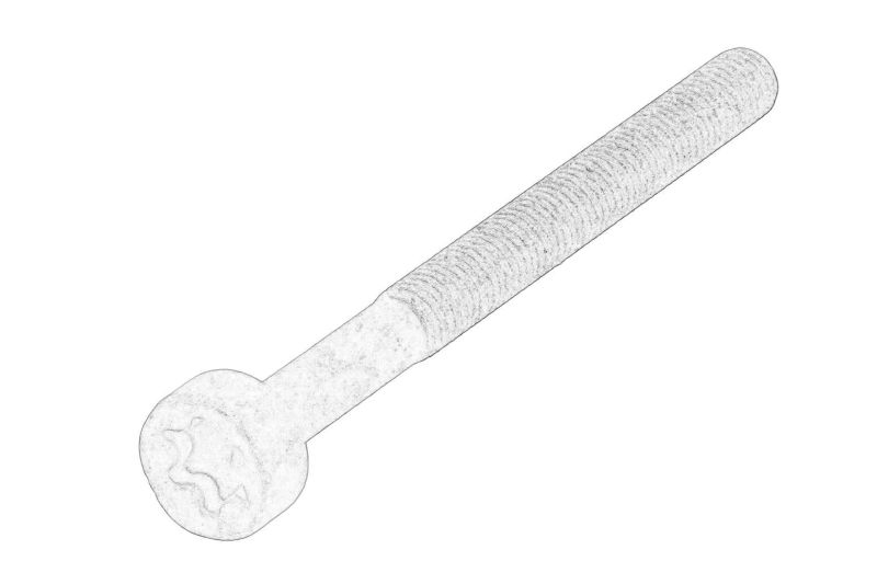 Bolt de fixare injector CR (L. 79mm, M7x1) original 