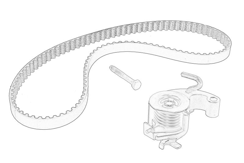 Set de distributie (curea + pinion) original