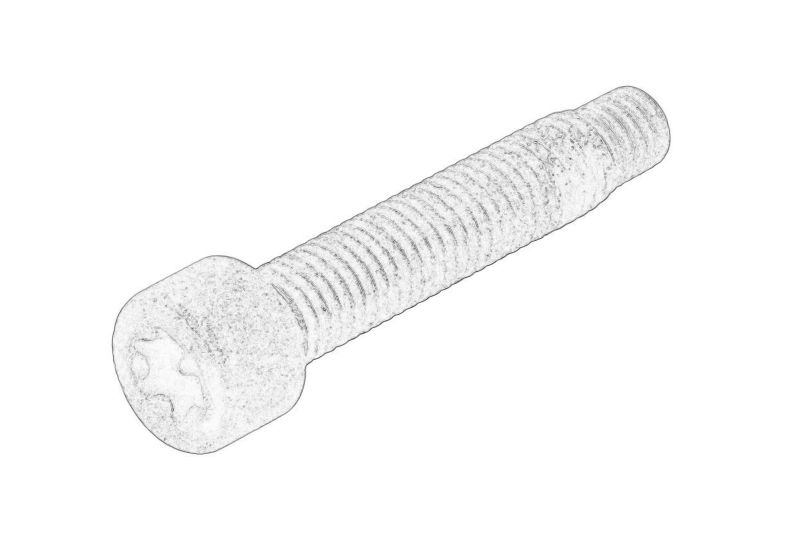 Surubul capacului butucului rotii (M10x45mm) original