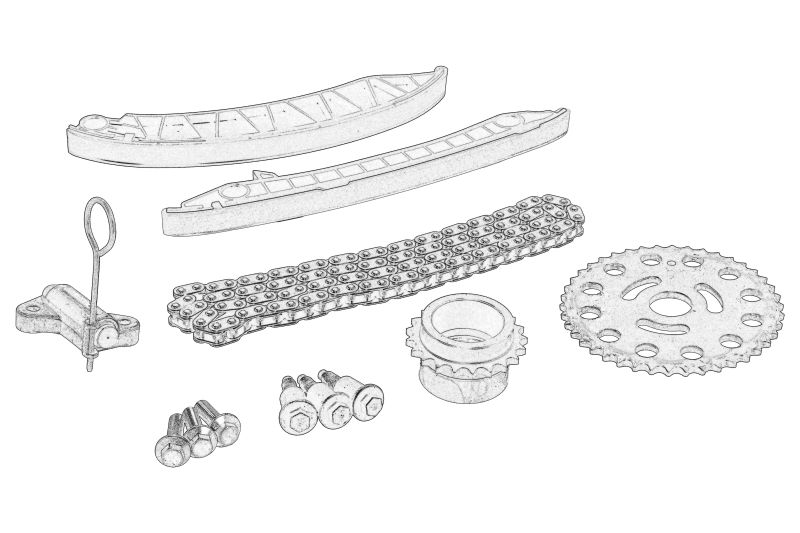 Set de distributie (lant + pinion) original
