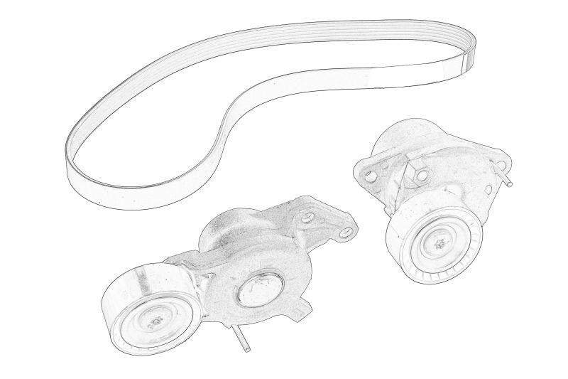 Set curea transmisie cu caneluri original