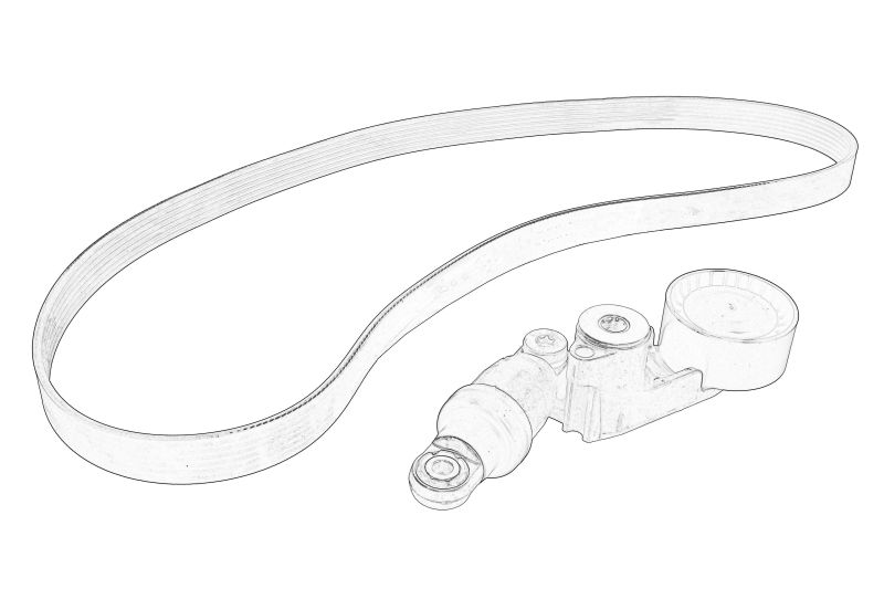 Set cu curea multi-v cu intinzator original