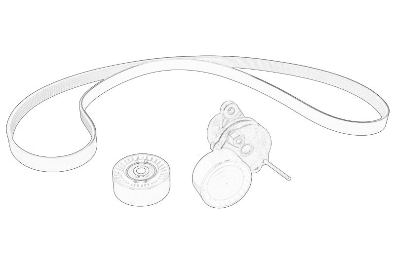 Set cu curea multi-v cu intinzator original