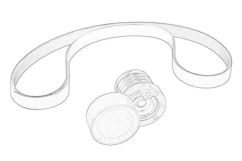 Set cu curea multi-v cu intinzator original
