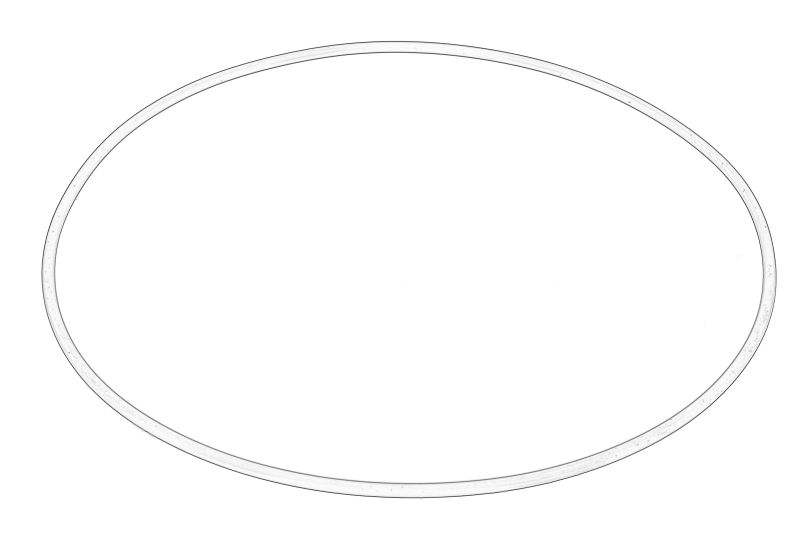 O-ring al cutiei de viteze (x101,32x1,78mm) original