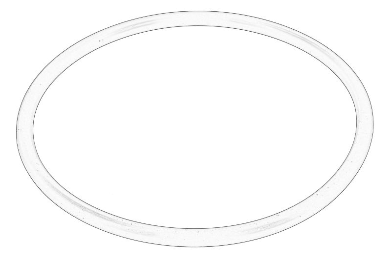 O-ring al cutiei de viteze original 