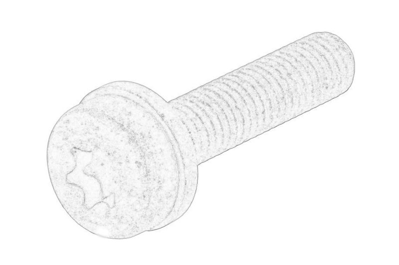 Surub de montare injector original 