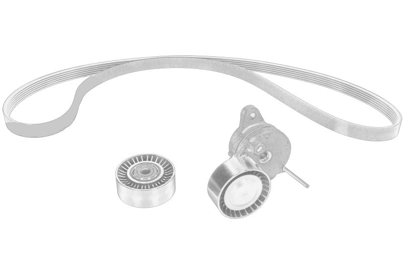 Set cu curea multi-v cu intinzator original