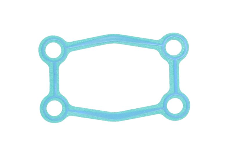 Simering ZF 0501318308ZF