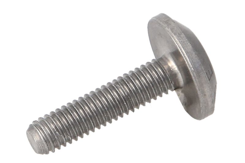 Surubul cutiei de viteze M6 dl.=25mm ZF