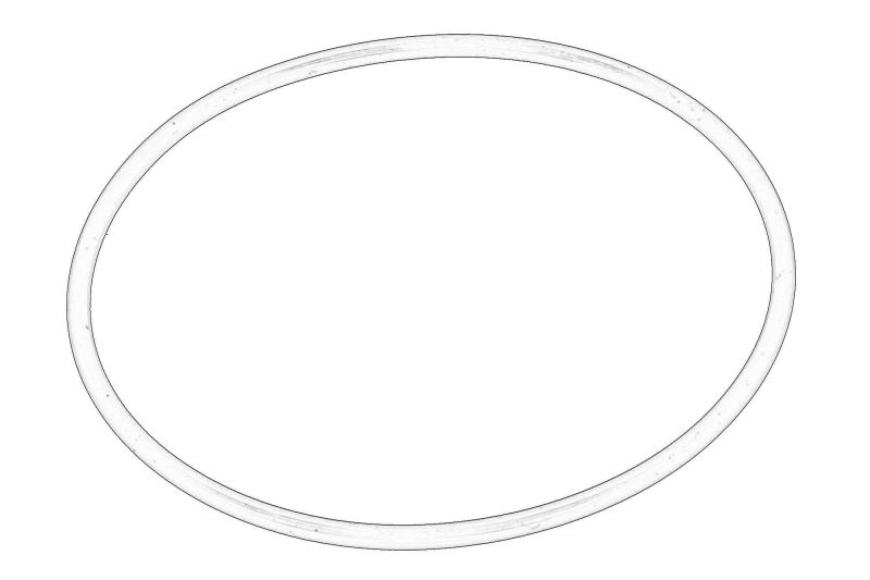 O-ring al cutiei de viteze original