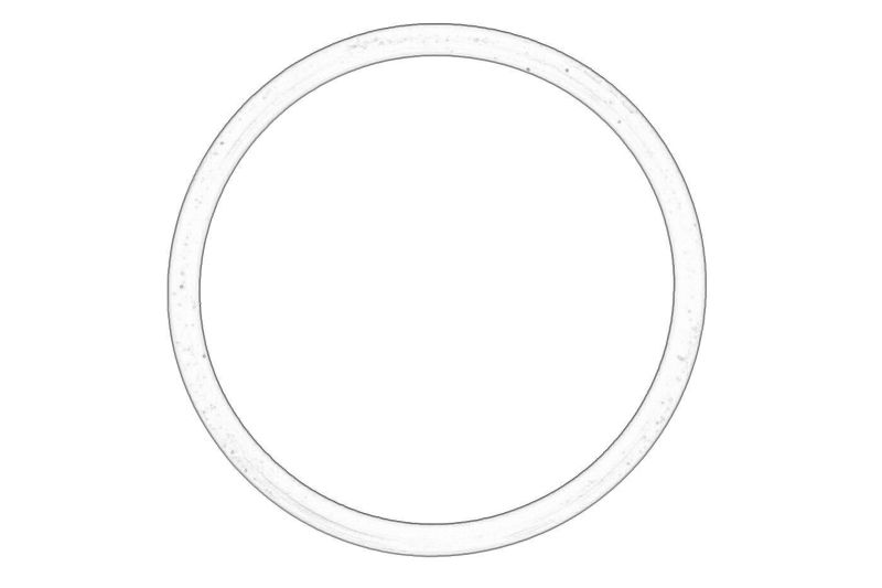 Garnitura galeriei de apa (inel O) originala