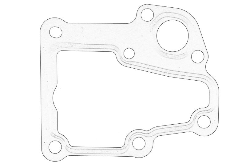 Garnitura/simering carcasa termostat original