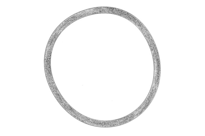 Element de supapa de aer (garnitura de acceleratie) original