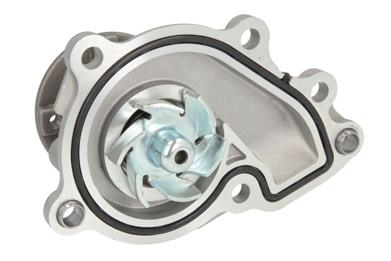 Pompa de apa, (en) with a gasket