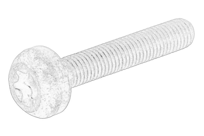 Surubul de fixare a sotei de ulei (M7x40mm) original
