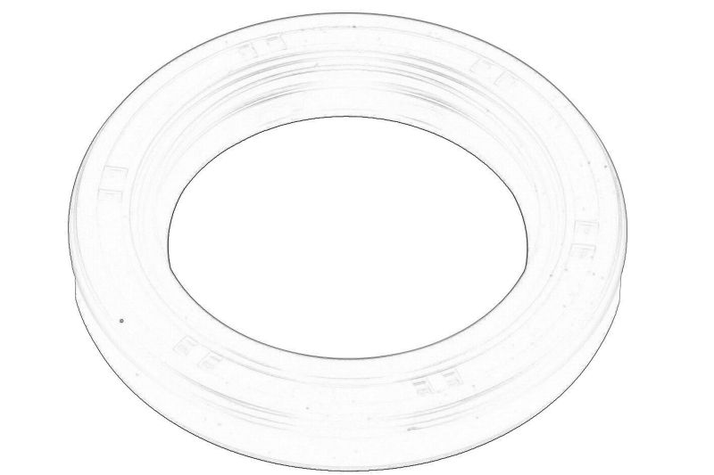 O-ring al cutiei de viteze original