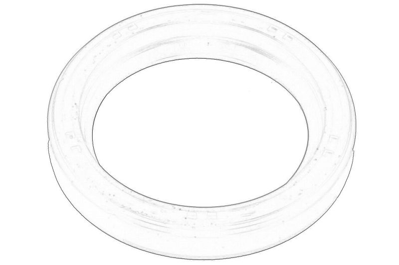 O-ring al cutiei de viteze original