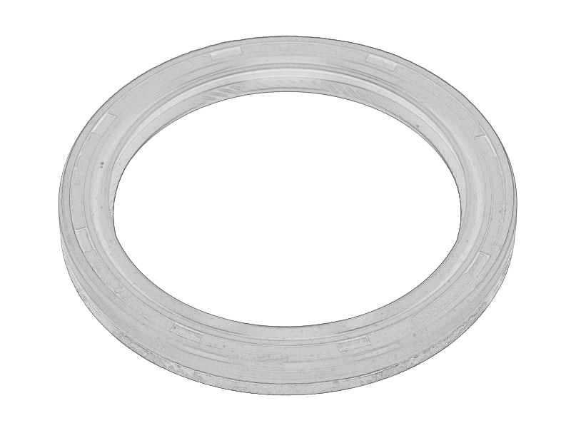 Garnitura ulei arbore cu came (55x70x8)