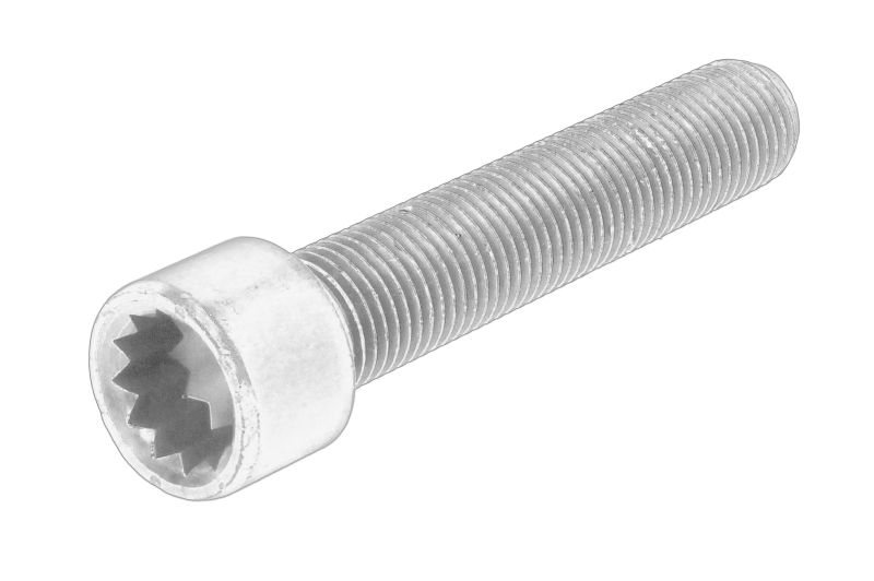 Montaj pinion arbore cu came / angrenaj (bolt/surub) original 