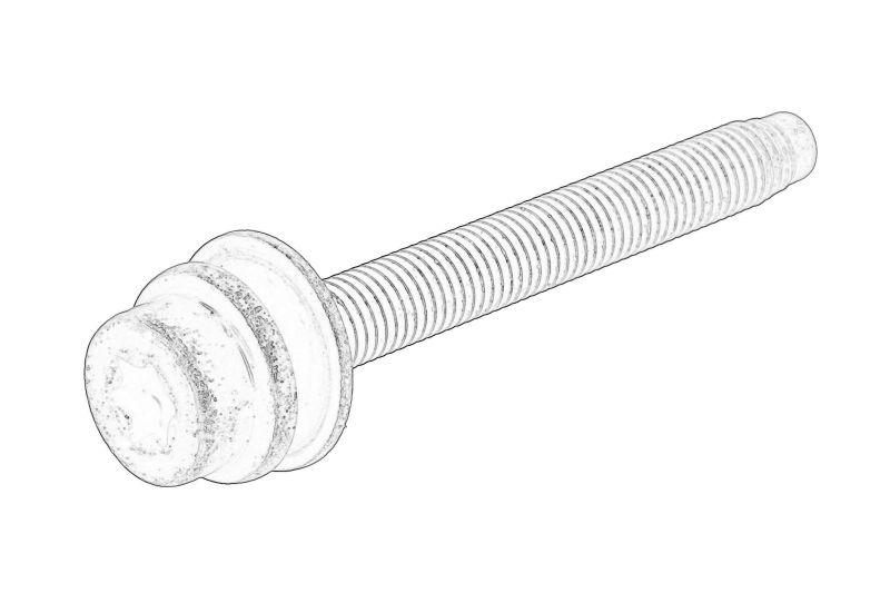 Element injector (bolt/surub) original