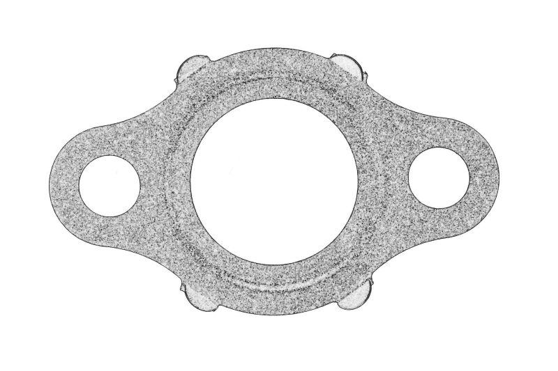Garnitura valvei EGR originala