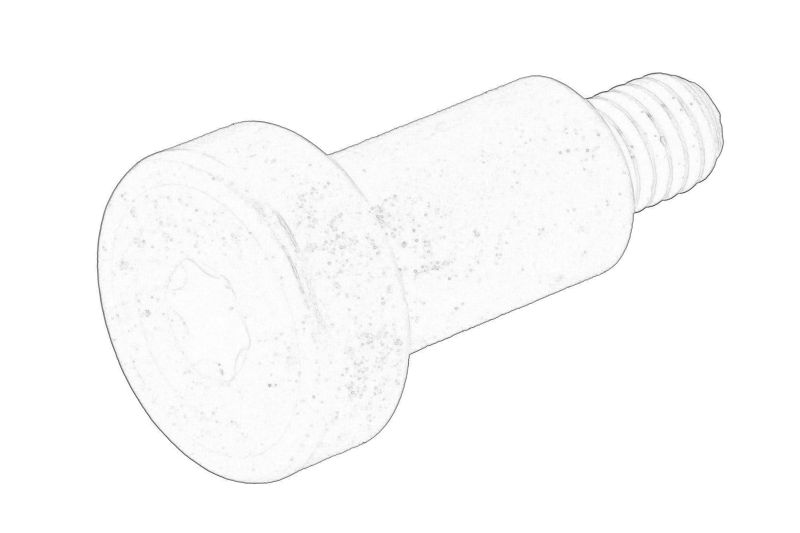 Componente ale lantului de distributie (bolt/surub) original