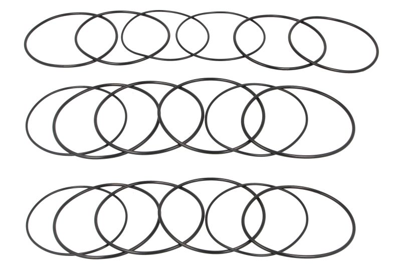 Set inele o camasa piston/cilindru