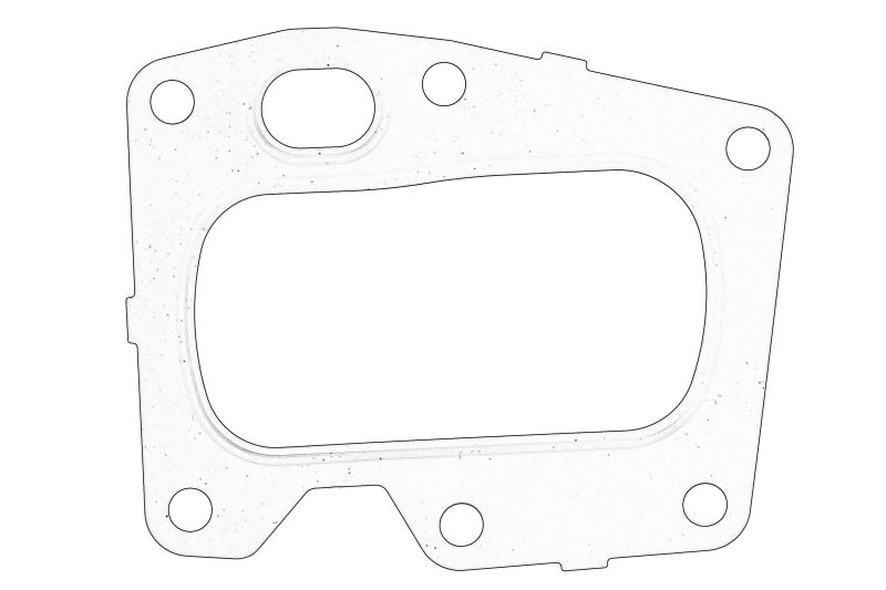 Garnitura valvei EGR originala