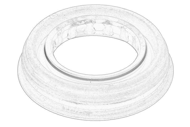 Garnitura/simering diferential (iesirea arborelui osiei) original