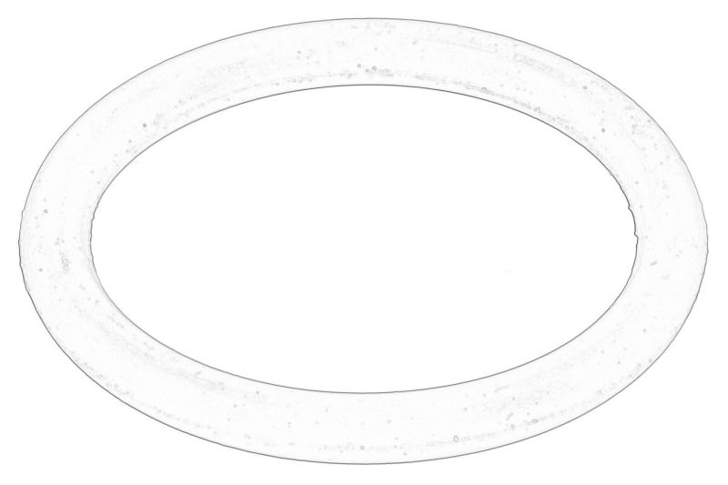 Etansarea conductei radiatorului (inel o) originala