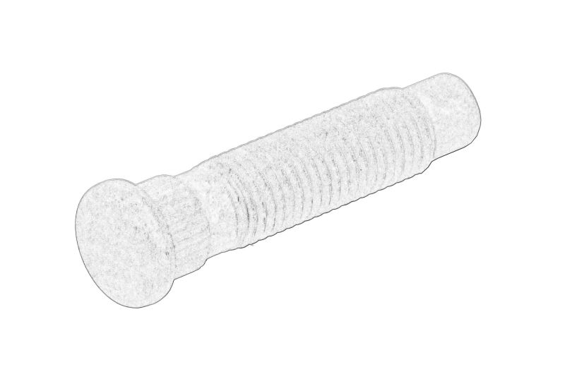 Pinul rotii (con) original