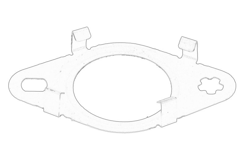 Garnitura valvei EGR originala