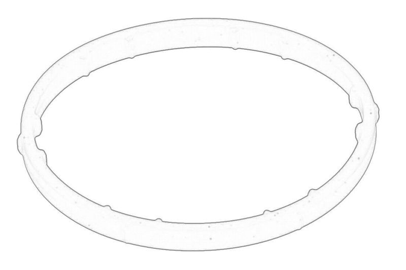 Garnitura/simering carcasa termostat original
