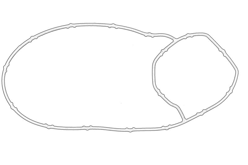 Garnitura pompa apa originala 