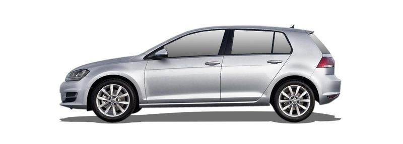 VW GOLF VII Van (5G1) 1.6 TDi