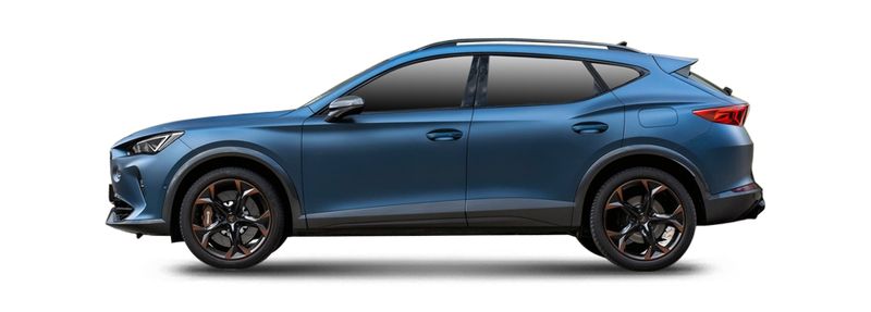 CUPRA FORMENTOR (KM7, KMP) 2.0 TSI 4Drive