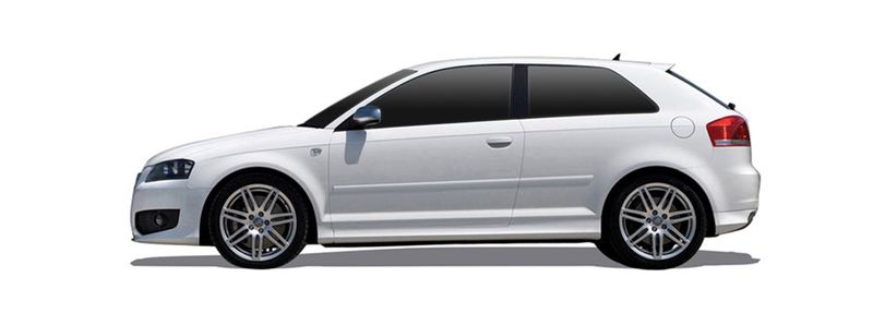 AUDI A3 (8P1) 2.0 FSI